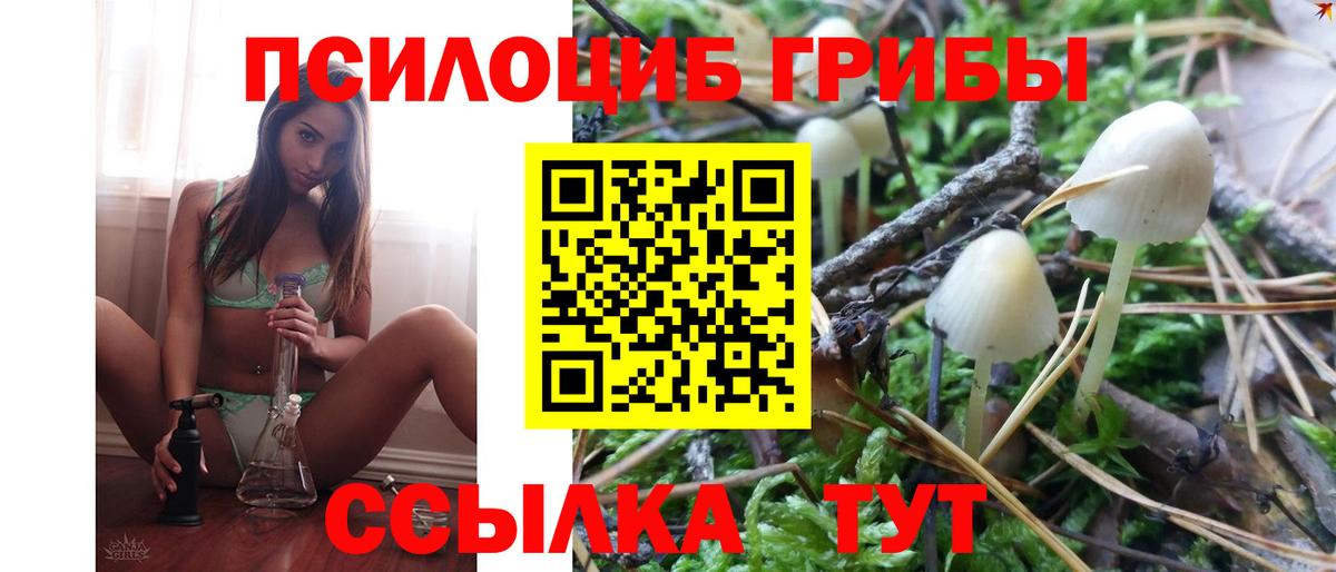 Красноярск  Псилоцибиновые грибы прущие грибы  Вход с VPN 